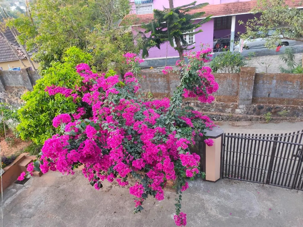 Nivaasana Bed & Breakfast Kalpetta India